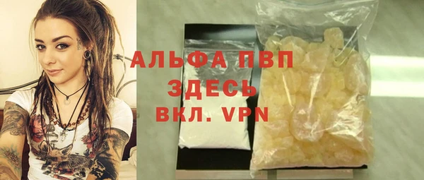 гашик Новодвинск
