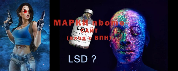 гашик Новодвинск