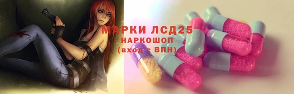 гашик Новодвинск