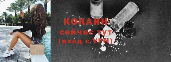 гашик Новодвинск